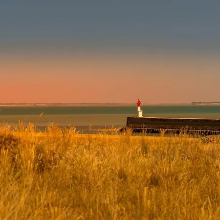 Plages A 50m - Spacieux T4 - 8 Couchages - Premium Au Calme - Nature, Village Et Port A Pieds Boyardville